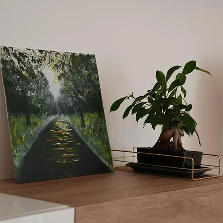 Solis 22